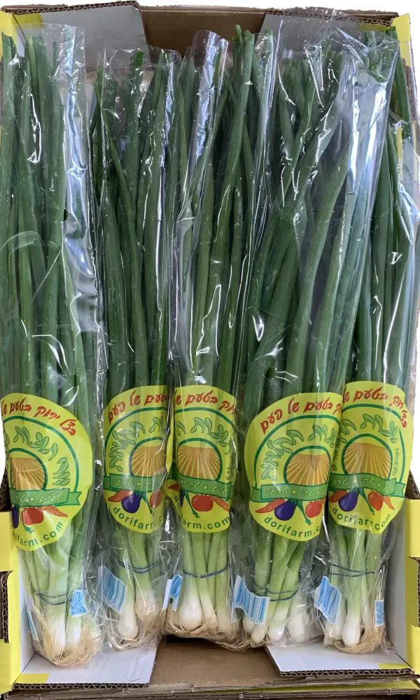 בצל ירוק בטעם של פעם | משק דורי