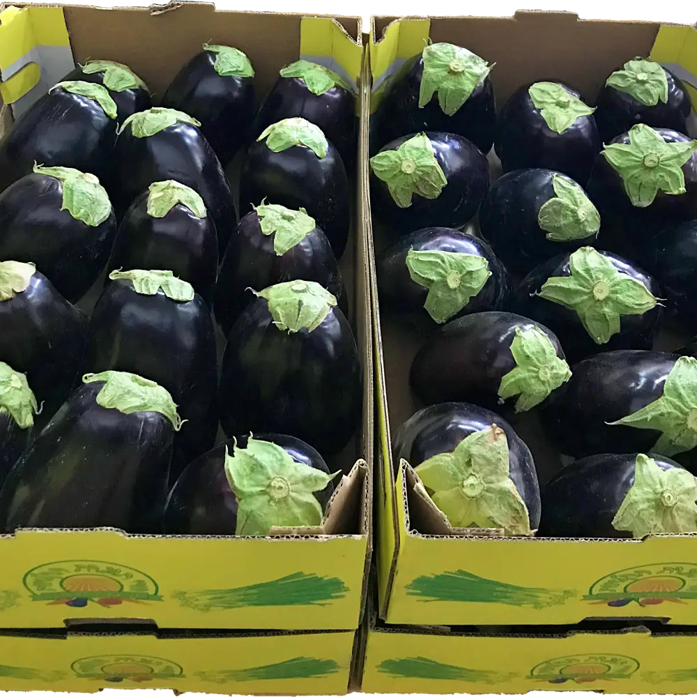 קרטון חציל בלאדי - משק דורי תוצרת חקלאית