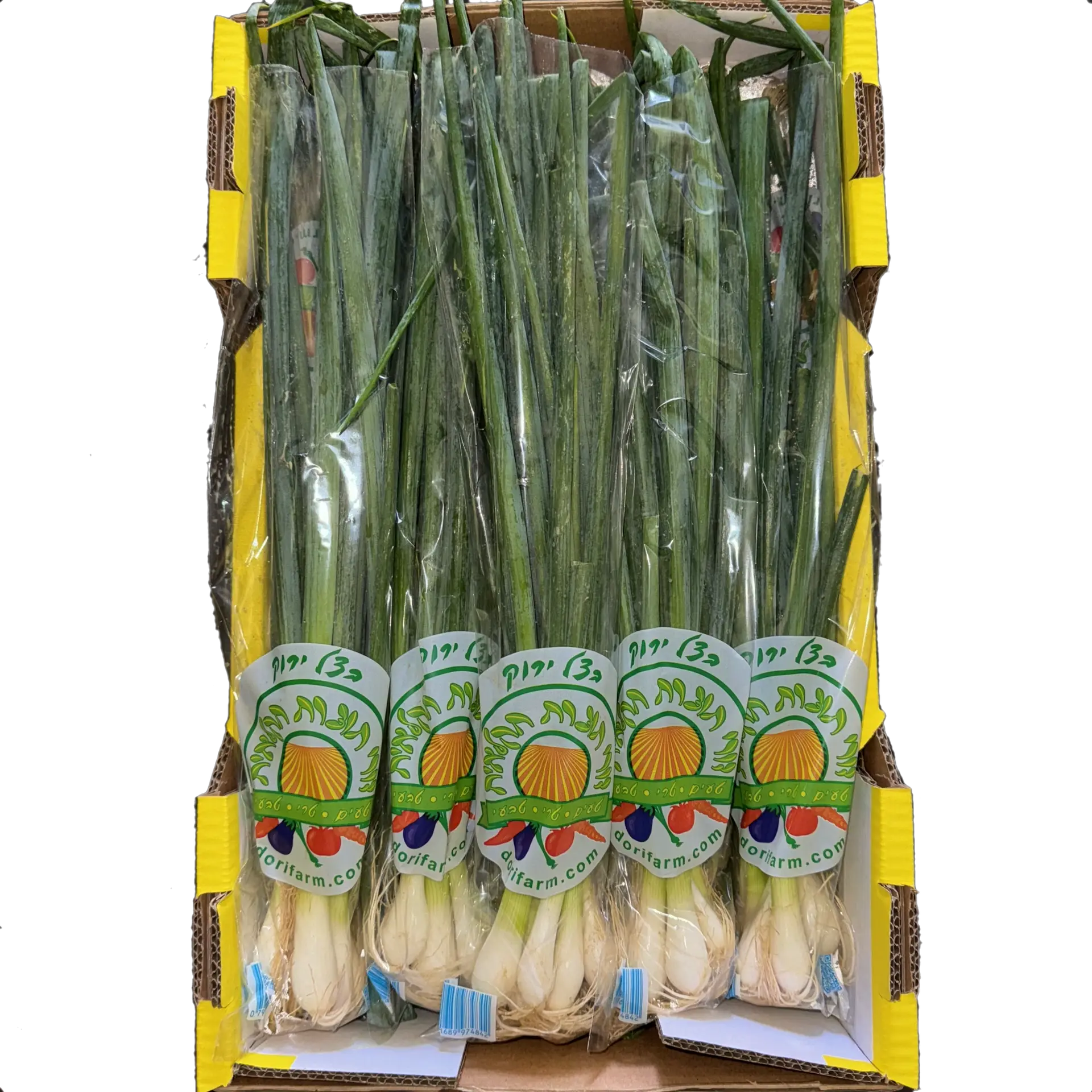 בצל ירוק - משק דורי תוצרת חקלאית