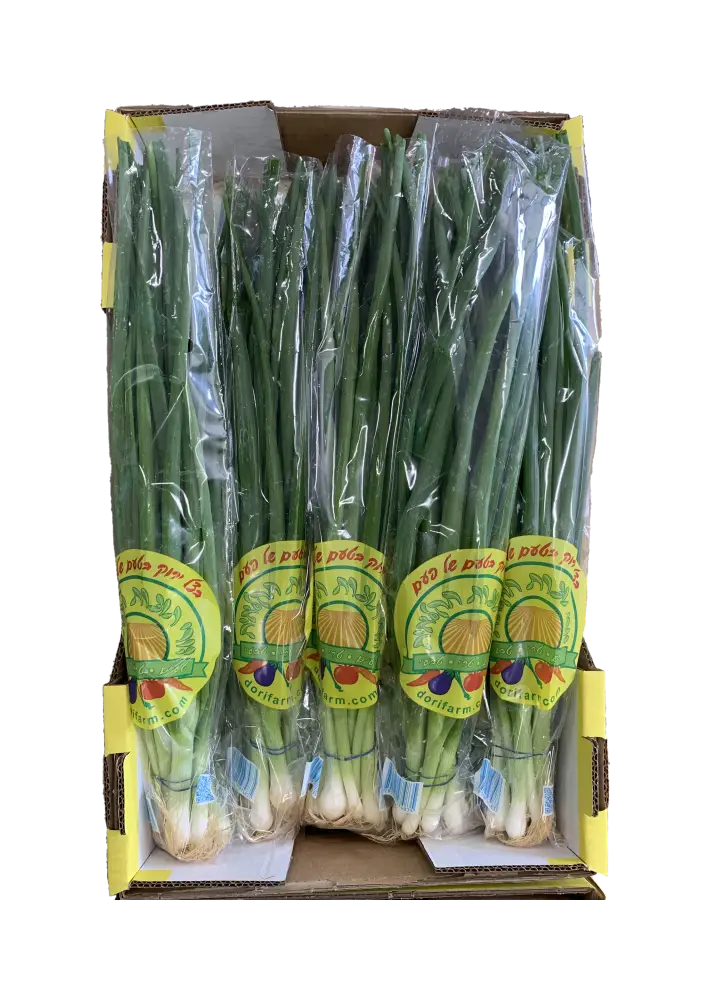 בצל ירוק בטעם של פעם - משק דורי תוצרת חקלאית