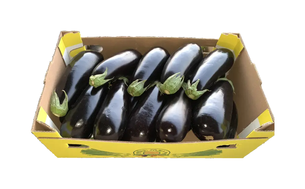 חצילי דורי - משק דורי תוצרת חקלאית